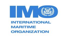 Chair: 17th Sustainability International Conference “Making science, innovation and research work for the sustainable development goals” co-organized with the UNEP and hosted by IMO 2019, London, UK