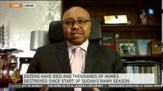 PROF ALLAM AHMED Aljazeera English Interview on Sudans Flooding and the possible role of  GERD (HD)