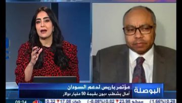 PROF ALLAM AHMED CNBC ARABIA ON PARIS SUDAN INVESTMENT CONFERENCE