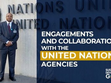 Professor Allam Ahmed Engagements and Collaborations with the United Nations Agencies