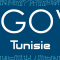 Keynote: Tunisian Management Science Society “Sustainable Development and Digital Development”, 2018, Tunis, Tunisia