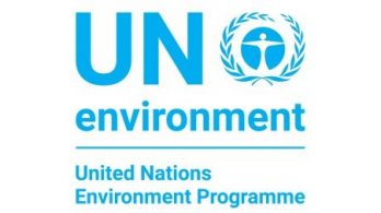 Chair: 6th Diaspora International Conference “Making science, innovation and research work for the sustainable development goals” co-organized with the UNEP and hosted by IMO 2019, London, UK