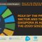 Role of the private sector and the diaspora in achieving the 2030 SDGs
