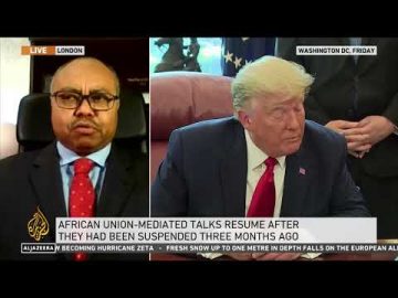 Prof. Allam Ahmed Al Jazeera Interview on meeting between Sudan, Ethiopia & Egypt on GERD