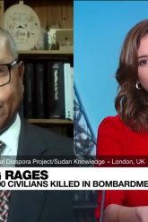 France 24 Prof Allam Ahmed Interview Sudan fighting rages Doctors say nearly 100 civilians killed