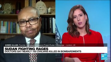 France 24 Prof Allam Ahmed Interview Sudan fighting rages Doctors say nearly 100 civilians killed