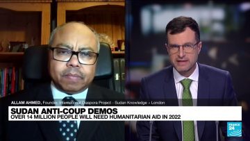 France 24 Prof Allam Ahmed Thousands again take to the streets in Sudan