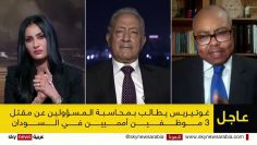 Sky News Arabic Prof Allam Ahmed Interview مصر تؤكد على أنها ستقوم بالجهود اللازمة بالتعاون مع الد