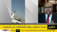 Sky News Arabic Prof Allam Ahmed Interview Part1 مجلس الأمن الدولي يدعو جميع الأطراف في السودان لل